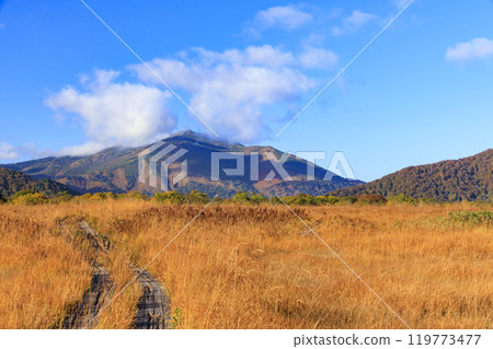 秋天的尾瀨,草地上的秋葉和森林裡的秋葉,龍宮三原 秋天的尾瀨,草地上的秋葉和森林裡的秋葉,龍宮三原 119773477