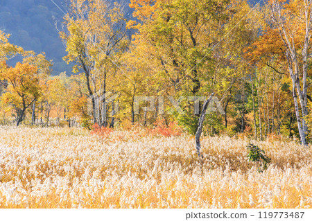 Autumn in Oze: Autumn leaves in the grass and forests: Ryugu-Miharashi 119773487