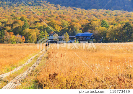 Autumn in Oze: Autumn leaves in the grass and forests: Ryugu-Miharashi 119773489