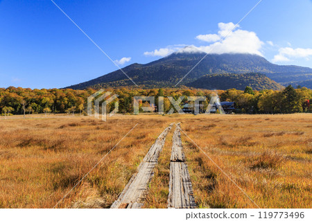 Autumn in Oze: Autumn leaves in the grass and forests: Ryugu-Miharashi 119773496