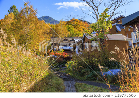 Autumn in Oze: Autumn leaves in the grass and forests: Ryugu-Miharashi 119773500