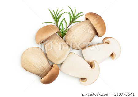 Fresh porcini cep mushroom isolated on white background. Top view. Flat lay 119773541