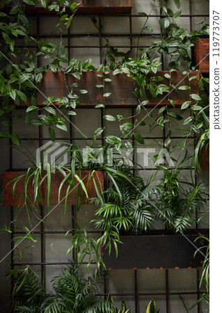 Vertical living green wall with potted plants mounted on wire grid as indoor decoration for office or home interior, copy space Vertical living green wall with potted plants mounted on wire grid as indoor decoration for office or home interior, copy space 119773707