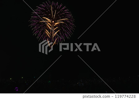 Fireworks at the Sagara Marine Fireworks Festival at Sagara Sun Beach in Makinohara City (Shizuoka Prefecture) Fireworks at the Sagara Marine Fireworks Festival at Sagara Sun Beach in Makinohara City (Shizuoka Prefecture) 119774228
