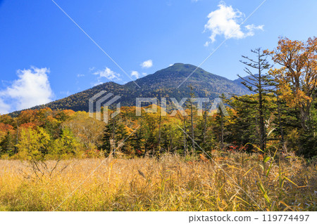 Autumn in Oze: Autumn leaves in the grass and forests, Miharashi to Akadashiro 119774497