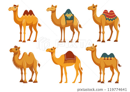 Set of one-humped and two-humped camels on white background. Desert animals collection. Flat style illustration. 119774641