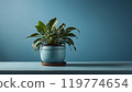 plant, houseplant, pot 119774654