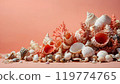 seashells, beach, shells 119774765