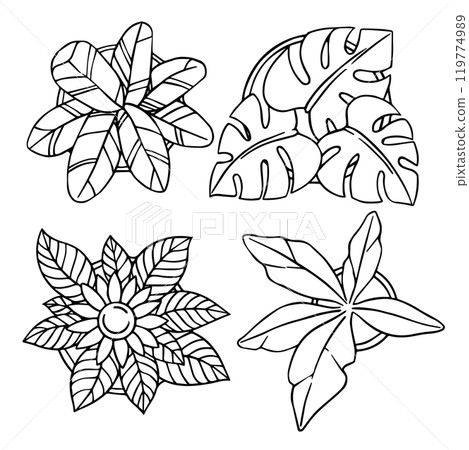 set of indoor plants for interior, hand drawing, top view. architectural ink drawing, vector. 119774989