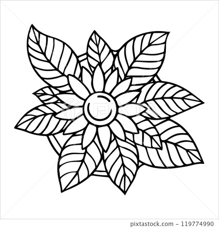 indoor plant for interior sunflower, hand drawing, top view. architectural ink drawing, vector. indoor plant for interior sunflower, hand drawing, top view. architectural ink drawing, vector. 119774990