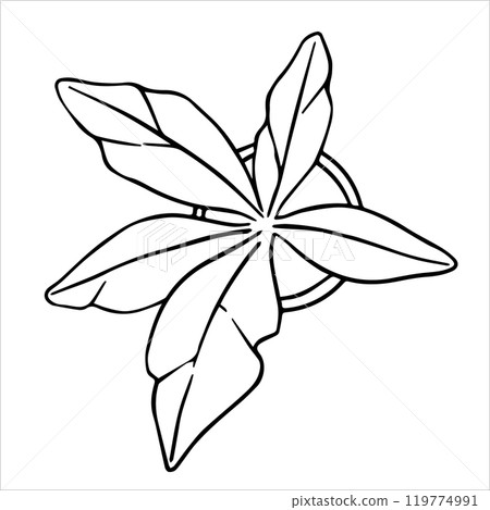 indoor plant for interior, hand drawing, top view. architectural ink drawing, vector. 119774991