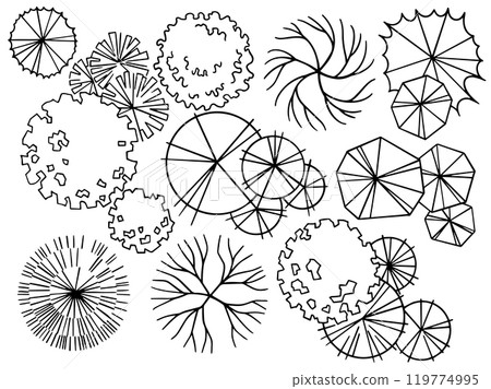 set of trees, hand drawing, top view. architectural ink drawing, vector. set of trees, hand drawing, top view. architectural ink drawing, vector. 119774995