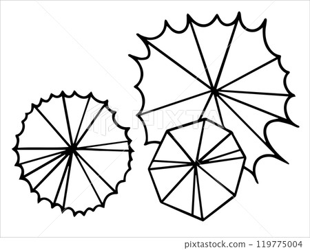 top view tree, hand drawing. architectural ink drawing, vector. 119775004