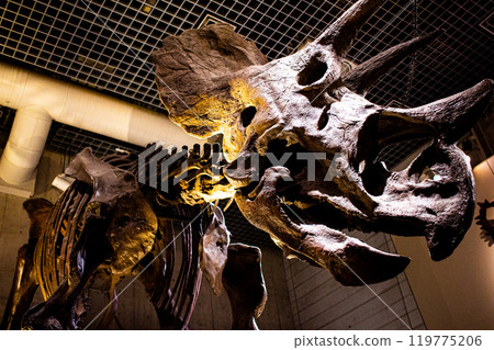 Dinosaurs with distinctive horns 119775206