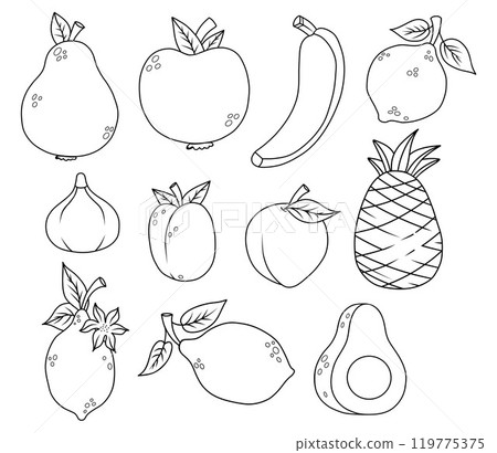 Outline fruit collection. Seasonal tropical citrus Lemon and lime, pineapple, banana, apple and pear, fig, avocado, apricot and plum. Isolated linear drawing, coloring book. Vector illustration 119775375