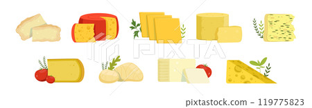 Different Cheese Type as Dairy Product Vector Set 119775823