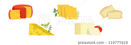 Different Cheese Type as Dairy Product Vector Set 119775828