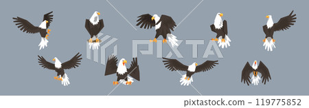Eagle or Vulture Predatory Bird of Prey Vector Set 119775852