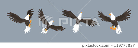 Eagle or Vulture Predatory Bird of Prey Vector Set 119775857