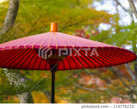 日本神戶瑞鳳寺公園的紅色日本傘與秋葉 119776218