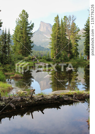 High mountain peak and cedar trees reflected in the pond. Concept of tourist mountains routes High mountain peak and cedar trees reflected in the pond. Concept of tourist mountains routes 119776226