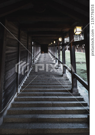 [Nigatsudo] A long staircase 119776858