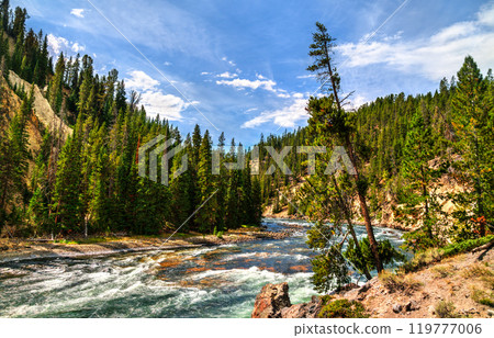 Yellowstone River Flowing Between the Upper and Lower Falls at Yellowstone National Park. UNESCO world heritage in Wyoming, United States Yellowstone River Flowing Between the Upper and Lower Falls at Yellowstone National Park. UNESCO world heritage in Wyoming, United States 119777006