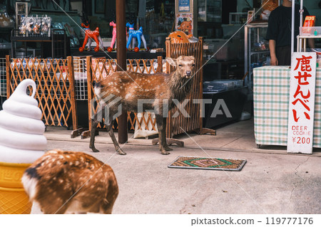 [Kasuga Taisha Shrine] A deer occupying the front of the shop 119777176