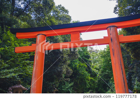 [Kasuga Taisha Shrine] Large torii gate 119777178