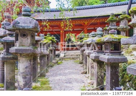 【春日大社】燈籠排列的風景 【春日大社】燈籠排列的風景 119777184