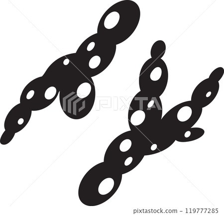 Two shigella bacteria with black bodies and white spots are undergoing binary fission, illustrating the rapid reproduction process of these harmful microorganisms 119777285