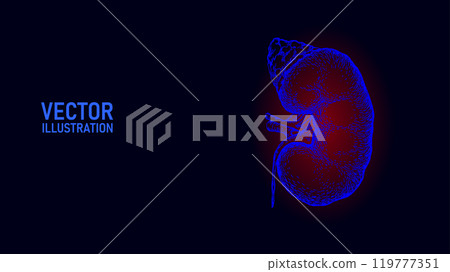 Healthy kidney internal organ ink drawing. Urology system medicine disease treatment. Future science technology hand drawn vector illustration 119777351