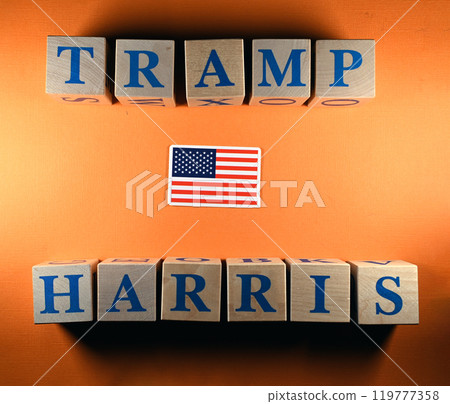 Wooden cubes with the names of US presidential candidates Donald Trump and Kamala Harris Wooden cubes with the names of US presidential candidates Donald Trump and Kamala Harris 119777358