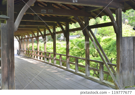 東福寺的巡航橋 119777677