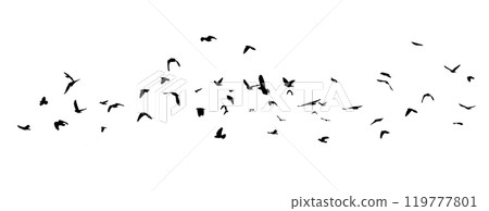 Flying birds silhouette flock. hand drawing. Not AI. Vector illustration 119777801