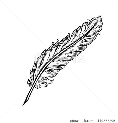 A quill pen for the manuscript. Vector black and white hand-drawn graphics on a white background. An element of the design of invitations, greeting cards, and postcards. For posters, posters, and more A quill pen for the manuscript. Vector black and white hand-drawn graphics on a white background. An element of the design of invitations, greeting cards, and postcards. For posters, posters, and more 119777896