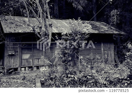 Old vacant house (monochrome) Old vacant house (monochrome) 119778525