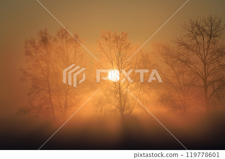 Fog ice and sunrise Fog ice and sunrise 119778601
