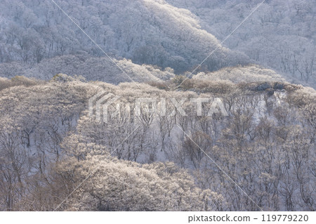 雪山登山(大分縣九重町) 雪山登山(大分縣九重町) 119779220
