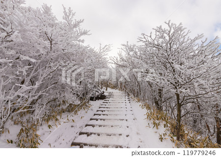 雪山登山（大分縣九重町） 119779246