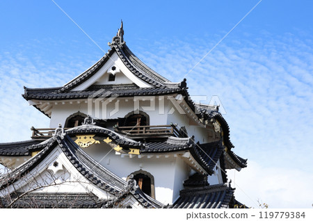 Hikone castle tower 119779384