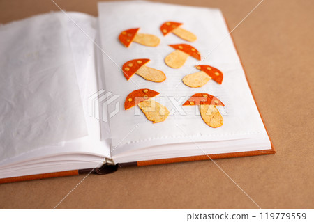mushrooms crafts made of dry tangerine peel drying on book, decorations, activity for kids 119779559