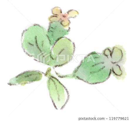 秋季植物，形狀獨特的水果，費約果水彩插圖 119779621