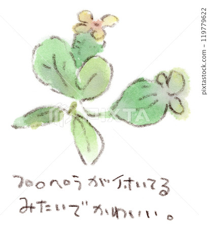 Autumn plant, unique shaped fruit, feijoa watercolor illustration Autumn plant, unique shaped fruit, feijoa watercolor illustration 119779622