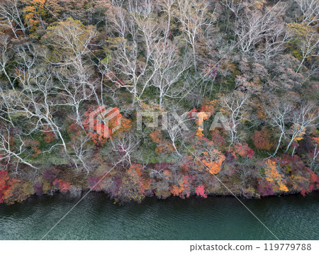 Onuma Onuma 119779788