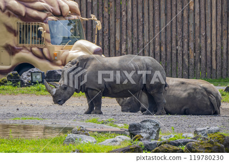 靜岡縣裾野市夏季野生動物園 119780230