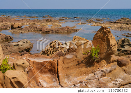 Eroded Coastal Rocks with Intricate Natural Patterns 119780282