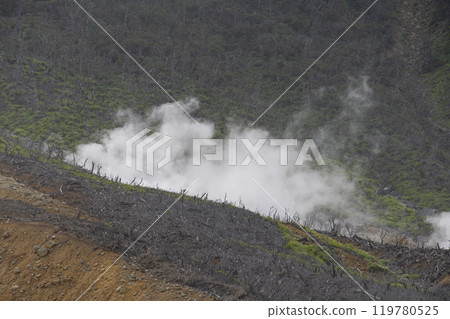 Hakone, Shizuoka Prefecture: Summer scenery of Owakudani and Lake Ashi 119780525