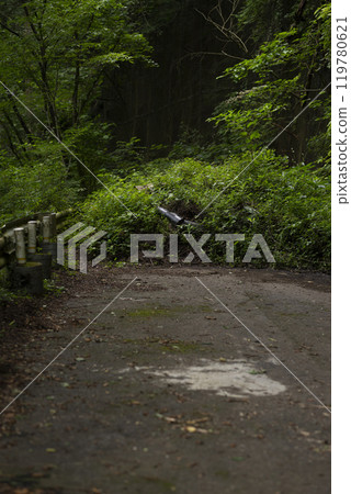 Road closed due to landslide 119780621