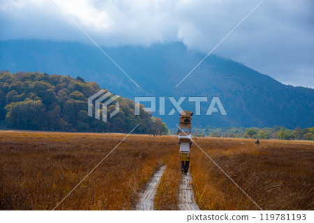 行人在尾瀨的木棧道上行走 行人在尾瀨的木棧道上行走 119781193